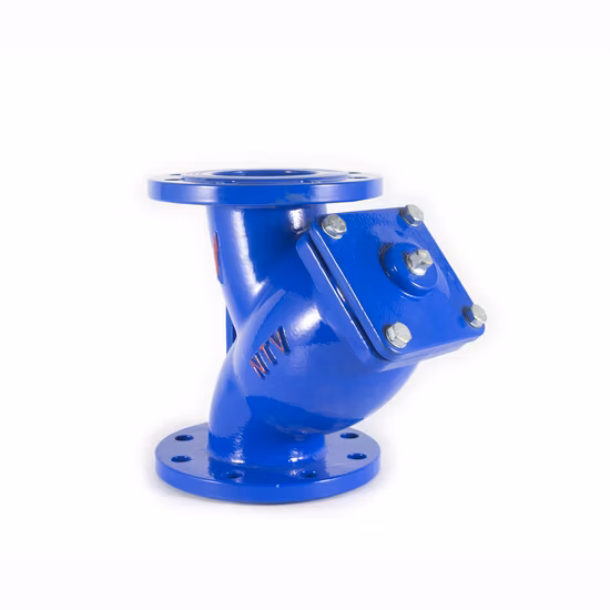 Filtre à bride type Y (EXTRÉMITÉ BRIDE) Pn16 Acier inoxydable 304 316