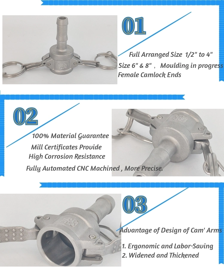 Stainless Steel C Type 1/2" SS304 Camlock Coupling Fittings