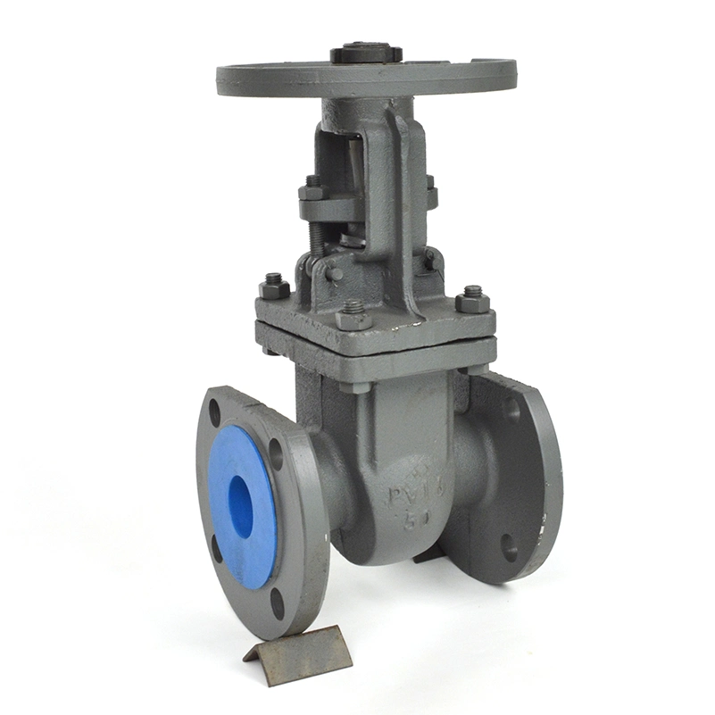 Stainless Steel 304 CF8 Gate Valve Pn25 Pressure Single Direction Flow for Water&Oil