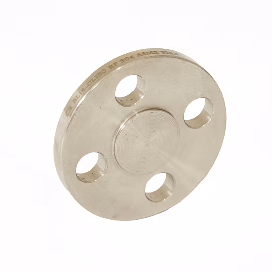 B16.9 JIS B2311 DIN2605 bride en acier inoxydable forgé bride aveugle bride de spectacle